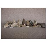 Lot of Petrified Wood and Mineral Specimens
