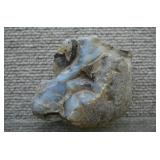 Chalcedony Specimen