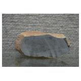 Sliced Petrified Wood Specimen