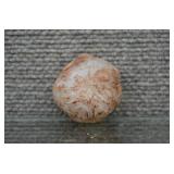 Agate or Chert Specimen