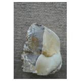 Chalcedony Nodule 4'