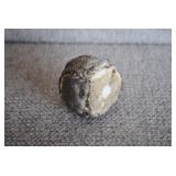 Opalized Thunder Egg 2.75'