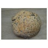 Large Agate Nodule 5.5'