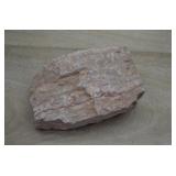 Sedimentary Rock Specimen 6'