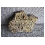 Fossil Hash Fragment