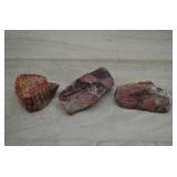 Lot of Agatized Petrified Wood 4'
