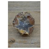 Half Thunderegg Specimen