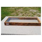 Rustic Wood & Glass Display Case/Shadowbox