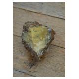 Thunderegg Fragment