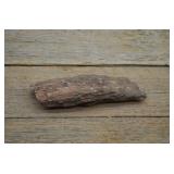 Petrified Wood Specimen