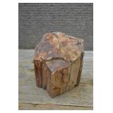 Petrified Wood Specimen