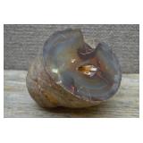 Agate Geode Nodule