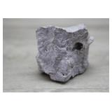 Dolostone Sedimentary Rock Specimen