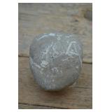 Wishing Stone - Rock with Quartz Veins