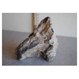 Large Petrified Wood Specimen