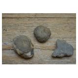 3 Pyrite Concretion Specimens
