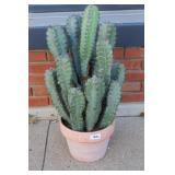 Artificial Peruvian Apple Cactus