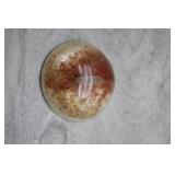 Vintage Entomology Paperweight-Preserved Insect