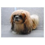 Realistic Pekingese Real Fur Dog Stuffed Animal