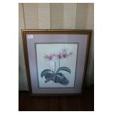 Framed Phalaenopsis Orchid Botanical Art Print