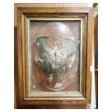 FRAMED TAXIDERMIED BIRDS 26x34