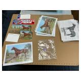 American Quarter Horse AQHA Prints, Postcards &...