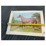 The American Quarter Horse - Vintage 25' Equine...