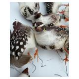 Spun Glass & Quail Feather Craft Birds, 11pc