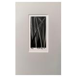 John H. Burkey 'Stems & Leaves' Photograph 93/250