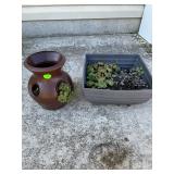 Strawberry & Succulent Planters