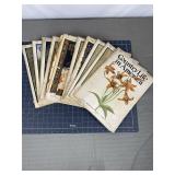 Country Life in America 1905-1906 Magazines