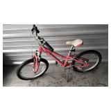 Trek MT60 20' Kids Mountain Bike