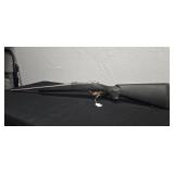 Ruger M77 MkII, .22-250Rem