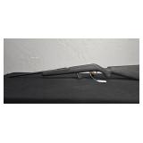 Stevens Mod 62, .22LR