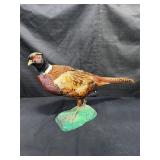 Ring neck pheasant