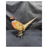 Ring neck pheasant taxidermy