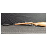 Marlin Mod 60, .22LR