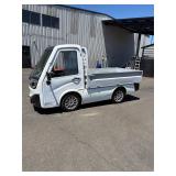 Club car electric enclosed cab truck