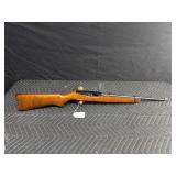 Ruger 22 LR