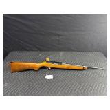 Ruger 10/22