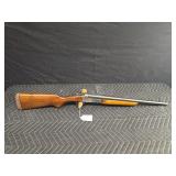 Savage 12 GA
