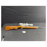 Ruger 10/22
