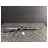Ruger 22Lr