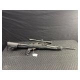 Ruger mini 14