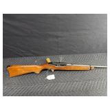 Ruger 22 LR
