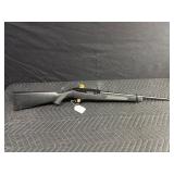 Ruger 22 LR