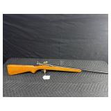 Stevens 22L