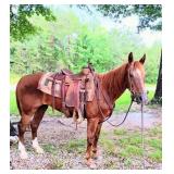 Sorrel Mare