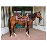 Gaited Mare