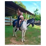 Gaited Paint